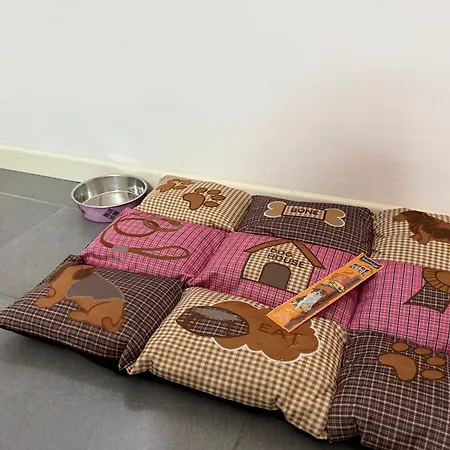 Appartement Centro 1 Gorizia